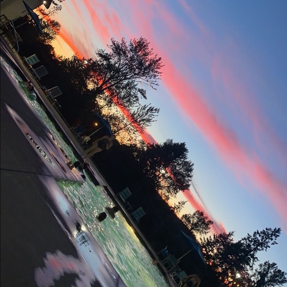 Meet your Posher, Lily - Picture 1 of 1